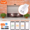 Control Inteligente WiFi para Portón Eléctrico PST-WD003 PRO - Imagen 3